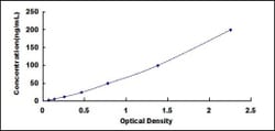 Biomatik Corporation Rat Oxoglutarate Dehydrogenase (OGDH) ELISA Kit, Quantity:
