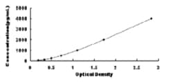 Biomatik Corporation Bovine Tissue Inhibitors Of Metalloproteinase 2 (TIMP2)