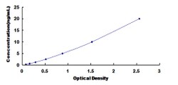 Biomatik Corporation Human Syncoilin (SYNC) ELISA Kit, Quantity: Each of