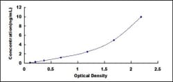 Biomatik Corporation Bovine Defensin Beta 1 (DEFb1) ELISA Kit, Quantity: