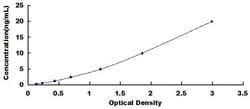 Biomatik Corporation Rat Synaptophysin (SYP) ELISA Kit, Quantity: Each
