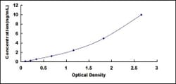 Biomatik Corporation Human Calnexin (CNX) ELISA Kit, Quantity: Each of