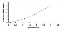 Biomatik Corporation Rat Interleukin 23 Receptor (IL23R) ELISA Kit, Quantity: