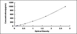 Biomatik Corporation Horse Interleukin 18 (IL18) ELISA Kit, Quantity: Each