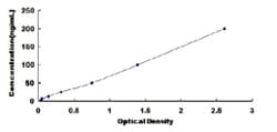 Biomatik Corporation Rat Lipase, Endothelial (LIPG) ELISA Kit, Quantity: