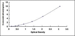 Biomatik Corporation Human Signal Regulatory Protein Gamma (SIRPg) ELISA
