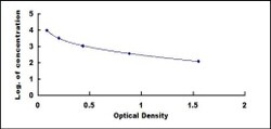 Biomatik Corporation Human Endothelin Converting Enzyme 2 (ECE2) ELISA