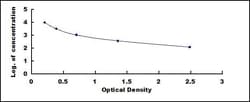 Biomatik Corporation Human Kallikrein 6 (KLK6) ELISA Kit, Quantity: Each