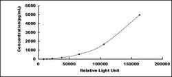 Biomatik Corporation Human Growth Differentiation Factor 15 (GDF15) CLIA