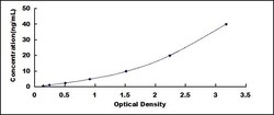 Biomatik Corporation Rat G Protein Coupled Receptor 131 (GPR131) ELISA