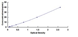 Biomatik Corporation Mouse Cluster Of Differentiation 64 (CD64) ELISA Kit,