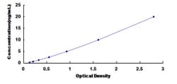 Biomatik Corporation Bovine Sulfite Oxidase (SUOX) ELISA Kit, Quantity:
