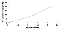 Biomatik Corporation Human Neuropeptide Y Receptor Y1 (NPY1R) ELISA Kit,
