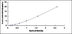 Biomatik Corporation Human Parathyroid Hormone Receptor 2 (PTHR2) ELISA