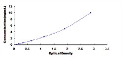 Biomatik Corporation Human Claudin 6 (CLDN6) ELISA Kit, Quantity: Each