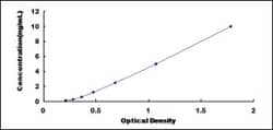 Biomatik Corporation Mouse Sideroflexin 1 (SFXN1) ELISA Kit, Quantity:
