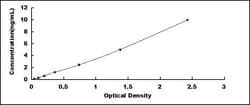 Biomatik Corporation Human Exosome Component 2 (EXOSC2) ELISA Kit, Quantity: