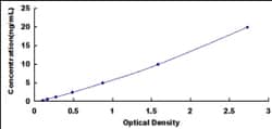 Biomatik Corporation Human Protein Disulfide Isomerase (PDI) ELISA Kit,