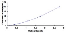 Biomatik Corporation Human Density Enhanced Phosphatase 1 (DEP1) ELISA