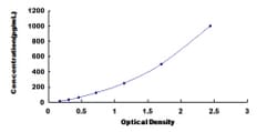 Biomatik Corporation Human Interferon Alpha 10 (IFNa10) ELISA Kit, Quantity: