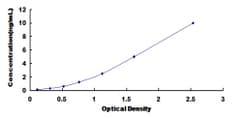 Biomatik Corporation Rat Natriuretic Peptide Receptor 2 (NPR2) ELISA Kit,