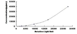Biomatik Corporation Human p21 Protein Activated Kinase 4 (PAK4) CLIA Kit,