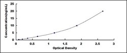 Biomatik Corporation Human Septin 5 (SEPT5) ELISA Kit, Quantity: Each of
