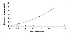 Biomatik Corporation Rat Bruton'S Tyrosine Kinase (Btk) ELISA Kit, Quantity: