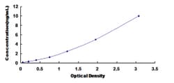 Biomatik Corporation Human 5-Hydroxytryptamine Receptor 1A (HTR1A) ELISA