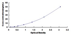 Biomatik Corporation Human Sarcoglycan Delta (SGCd) ELISA Kit, Quantity: