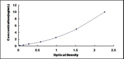 Biomatik Corporation Rat Slit Homolog 1 (Slit1) ELISA Kit, Quantity: Each