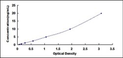 Biomatik Corporation Human Actinin Alpha 2 (ACTN2) ELISA Kit, Quantity: