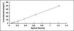 Biomatik Corporation Human Interleukin 1 Receptor Associated Kinase 3 (IRAK3)