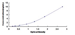 Biomatik Corporation Rat Paired Box Gene 6 (PAX6) ELISA Kit, Quantity: