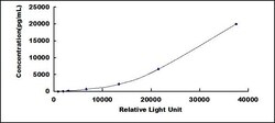 Biomatik Corporation Human Pim-3 Oncogene (PIM3) CLIA Kit, Quantity: Each