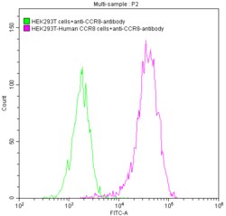 Biomatik Corporation Ccr8 Recombinant Antibody, Quantity: Each of 1