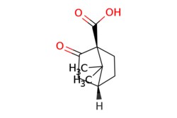 eMolecules​ Ambeed / (S)-()-Ketopinic Acid / 100mg / 627733369 / A169658