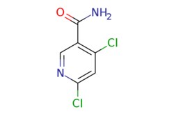 eMolecules​ Ambeed / 46-Dichloronicotinamide / 250mg / 525046090 / A138142