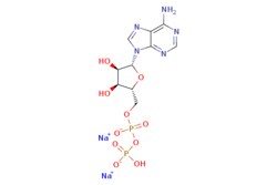 eMolecules​ 16178-48-6 | Ambeed | Sodium ((2R3S4R5R)-5-(6-amino-9H-purin-9-yl)-34-dihydroxytetrahydrofuran-2-yl)methyl