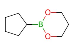 eMolecules​ Ambeed / 2-Cyclopentyl-132-dioxaborinane / 250mg / 682928738