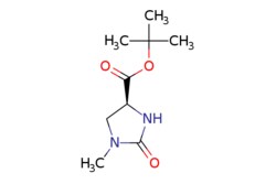 eMolecules​ 83056-79-5 | Ambeed | (S)-tert-Butyl 1-methyl-2-oxoimidazolidine-4-carboxylate