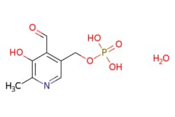 eMolecules​&nbsp;Ambeed / (4-Formyl-5-hydroxy-6-methylpyridin-3-yl)methyl dihydrogen phosphate hydrate / 1g / 552638561 / A197820 /  / 41468-25-1 / MFCD00149414 / 265.158 / C8H12NO7P