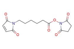 eMolecules​ Ambeed / 25-Dioxopyrrolidin-1-yl 6-(25-dioxo-25-dihydro-1H-pyrrol-1-yl)hexanoate
