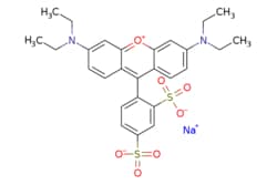 eMolecules​&nbsp;Ambeed / Sodium 4-(36-bis(diethylamino)xanthylium-9-yl)benzene-13-disulfonate / 5g / 600834545 / A227373 /  / 3520-42-1 / [null] / 580.650 / C27H29N2NaO7S2