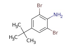 eMolecules​ Ambeed / 26-Dibromo-4-(tert-butyl)aniline / 1g / 490555319