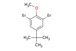 eMolecules​ Ambeed / 13-Dibromo-5-tert-butyl-2-methoxybenzene / 1g / 589949489