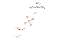 eMolecules​&nbsp;Ambeed / (R)-23-Dihydroxypropyl (2-(trimethylammonio)ethyl) phosphate / 1g / 525085654 / A169170 /  / 28319-77-9 / MFCD00063544 / 257.223 / C8H20NO6P