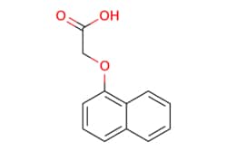 eMolecules​&nbsp;Ambeed / 2-(Naphthalen-1-yloxy)acetic acid / 1g / 603088969 / A364430 /  / 2976-75-2 / MFCD00003927 / 202.209 / C12H10O3