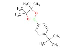 eMolecules​&nbsp;214360-66-4 | 2-(4-(tert-Butyl)phenyl)-4,4,5,5-tetramethyl-1,3,2-dioxaborolane | Ambeed | MFCD05663843 | 260.180 | C16H25BO2 | 98.000 | CC(C)(C)c1ccc(cc1)B1OC(C)(C)C(C)(C)O1 | 1g | 525009986