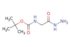 eMolecules​ 6926-09-6 | Ambeed | tert-Butyl (2-hydrazinyl-2-oxoethyl)carbamate